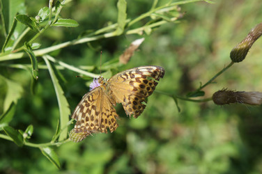 Similar image 1617831