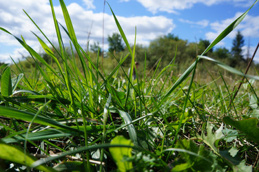 Similar image 1617832