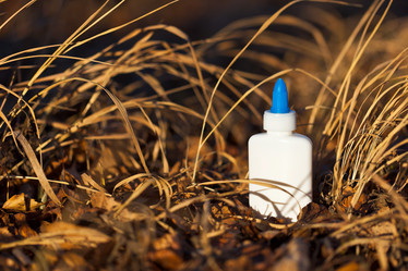 Similar image 1617833