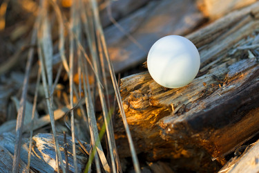 Similar image 1617838