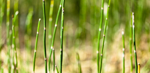 Similar image 1617841