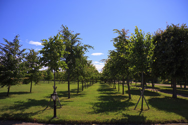 Similar image 1618048