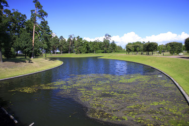 Similar image 1618066