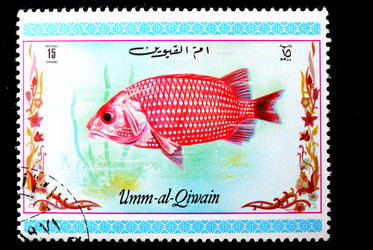 Similar image 1618085