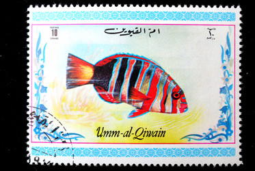 Similar image 1618086