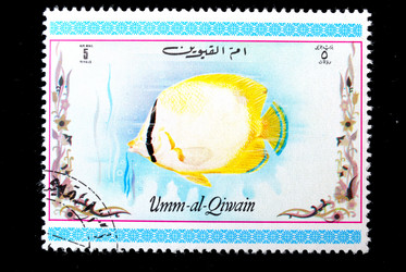 Similar image 1618088