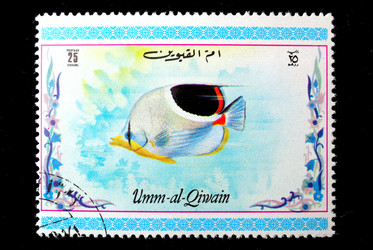 Similar image 1618089