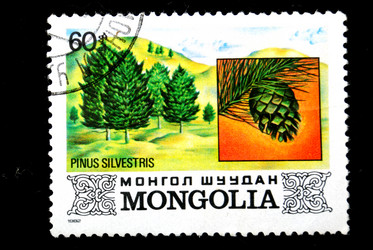 Similar image 1618103