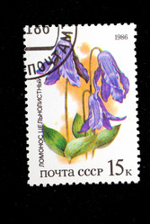 Similar image 1618104