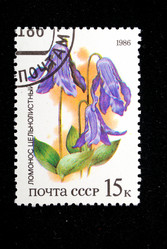 Similar image 1618112