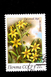 Similar image 1618113