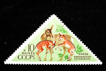 Similar image 1618114