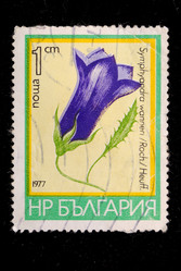 Similar image 1618115