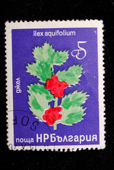 Similar image 1618116