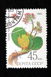 Similar image 1618117