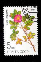 Similar image 1618118