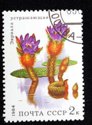 Similar image 1618119