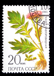 Similar image 1618120