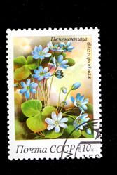 Similar image 1618121