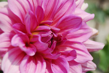 Similar image 1618122