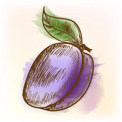 Similar image 1618202