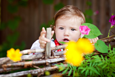 Similar image 1618288