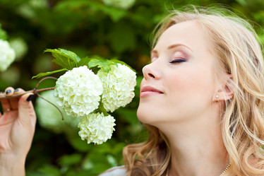 Similar image 1618340