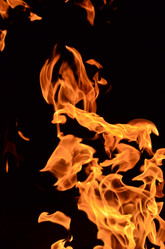 Similar image 1618424