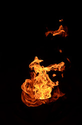 Similar image 1618439