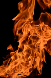 Similar image 1618440