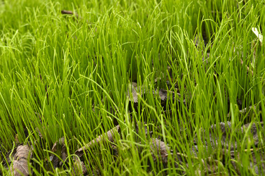 Similar image 1618464