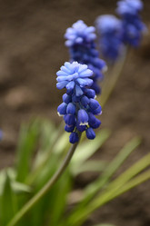 Similar image 1618465