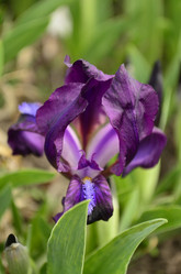 Similar image 1618468