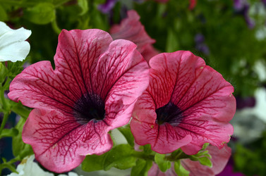 Similar image 1618469