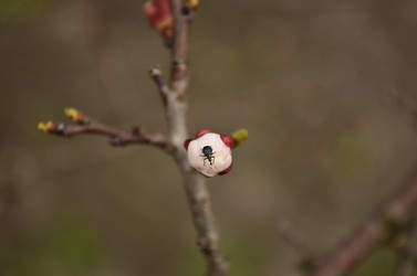 Similar image 1618472