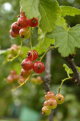 Similar image 1618473