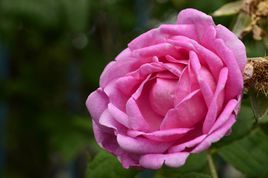 Similar image 1618482