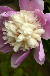 Similar image 1618485