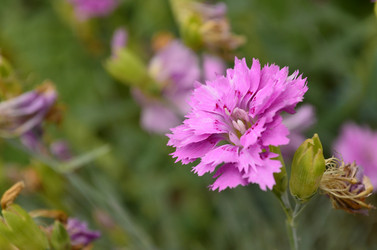 Similar image 1618487