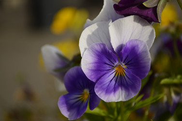 Similar image 1618490