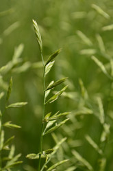 Similar image 1618492