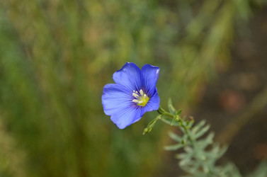 Similar image 1618494