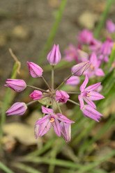 Similar image 1618495