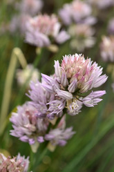 Similar image 1618496