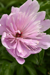 Similar image 1618497