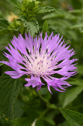 Similar image 1618498