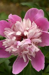 Similar image 1618501