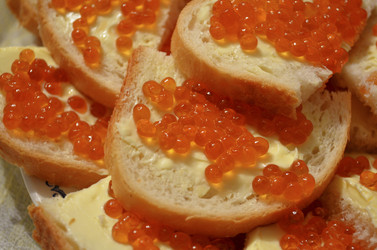 Similar image 1618522