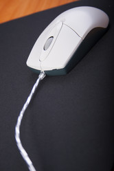 Similar image 1618583