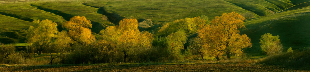 Similar image 1618644